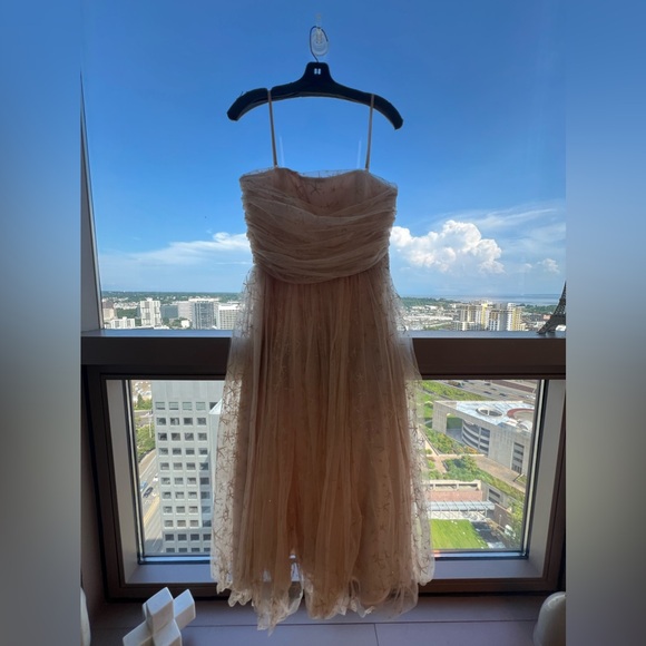 Joanna August mesh star sparkle midi dress - Picture 3 of 10